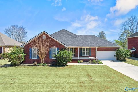 Photo of 7105 Horse Hollow Drive, Owens Cross Roads, AL 35763 (MLS # 21912589)