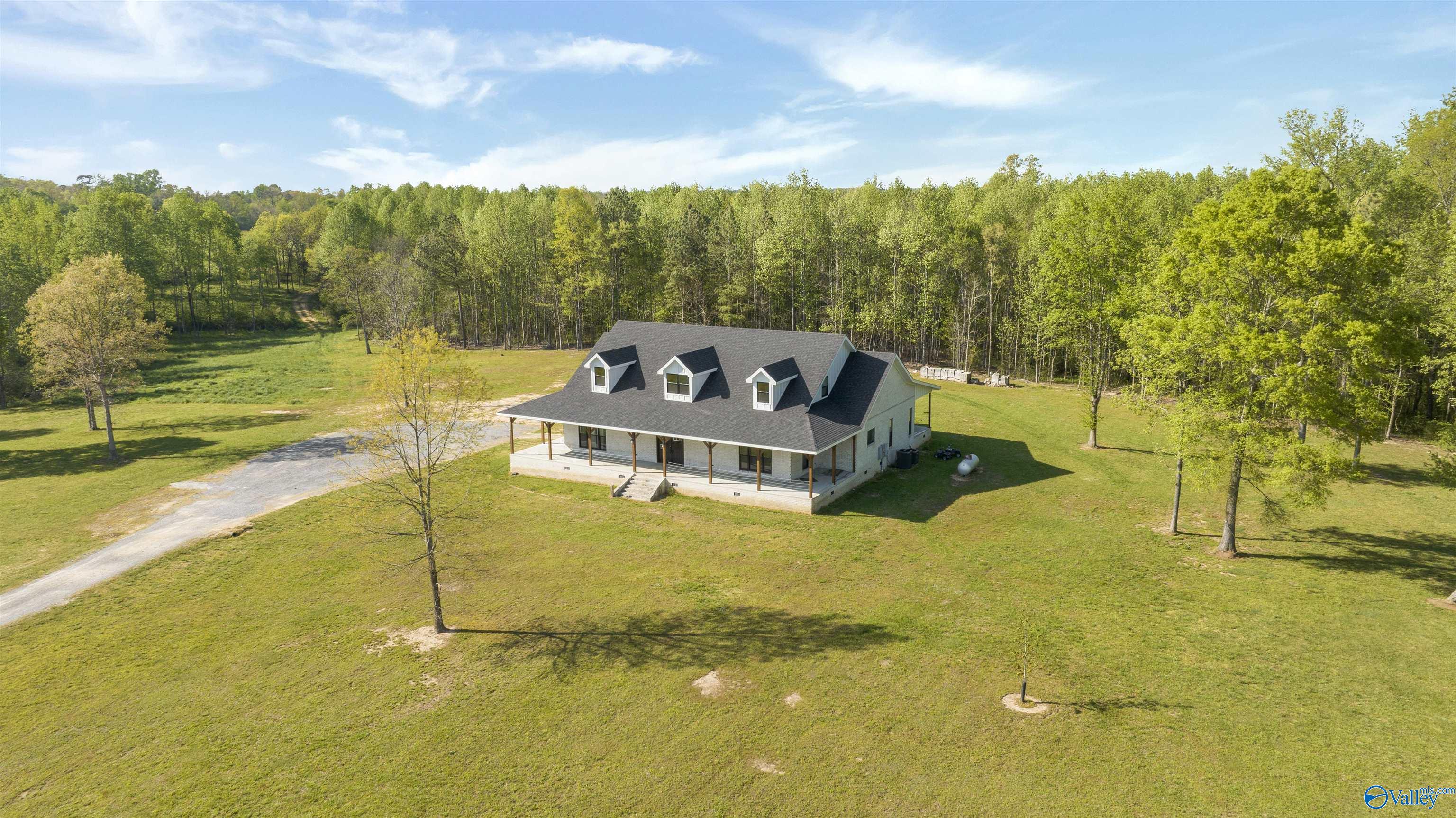 10100 Hwy 40, Henagar, Alabama image 1