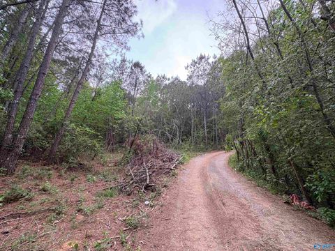 Vacant Land For Sale - LOT 1 Wilhite Road<br/> Falkville, AL 35622
