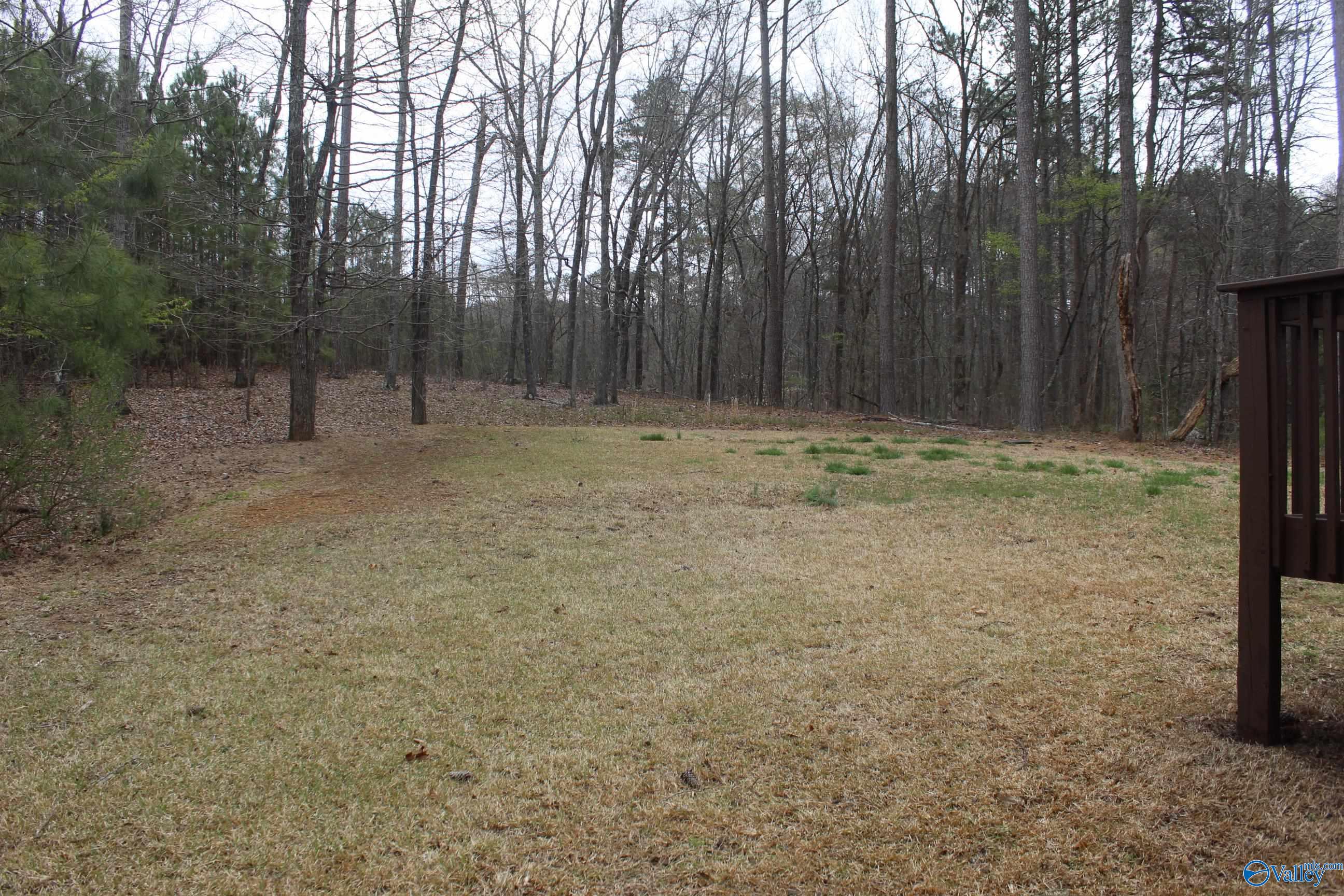 1404 Whites Gap Road, Jacksonville, Alabama image 45