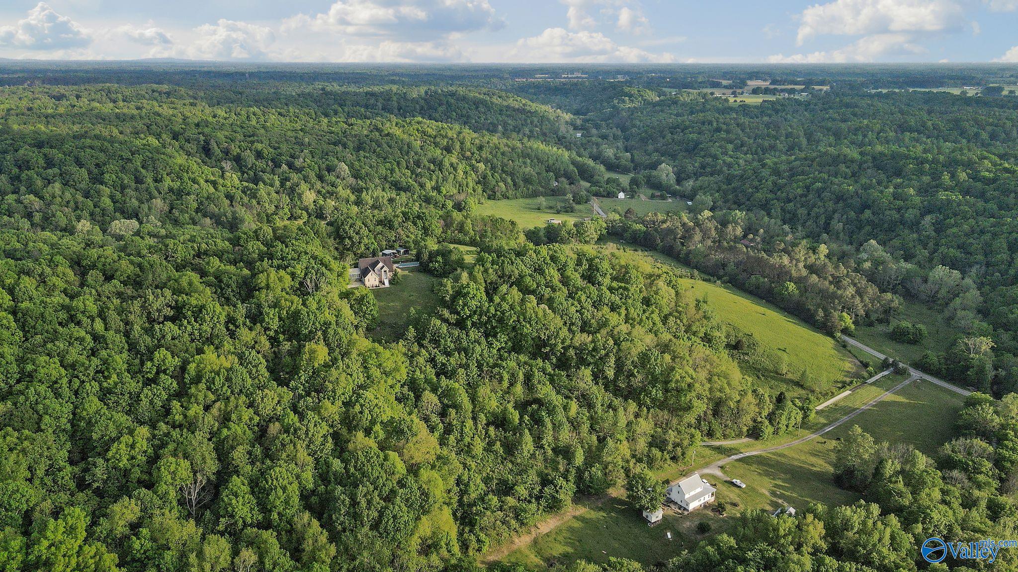 Tract 7B Ragsdale Creek Road, Elkmont, Alabama image 7