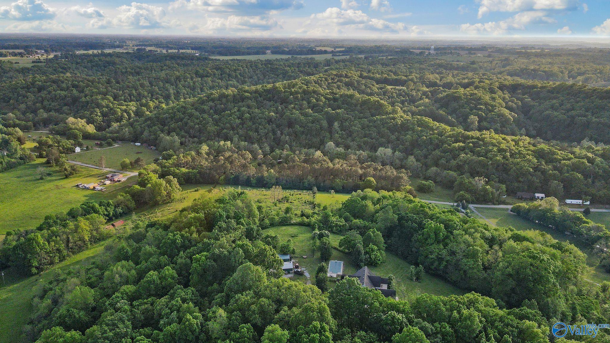 Tract 7B Ragsdale Creek Road, Elkmont, Alabama image 6
