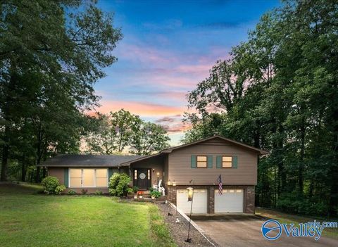 Homes For Sale - 1916 Virginia Avenue<br/> Jackson County, Scottsboro, AL 35769