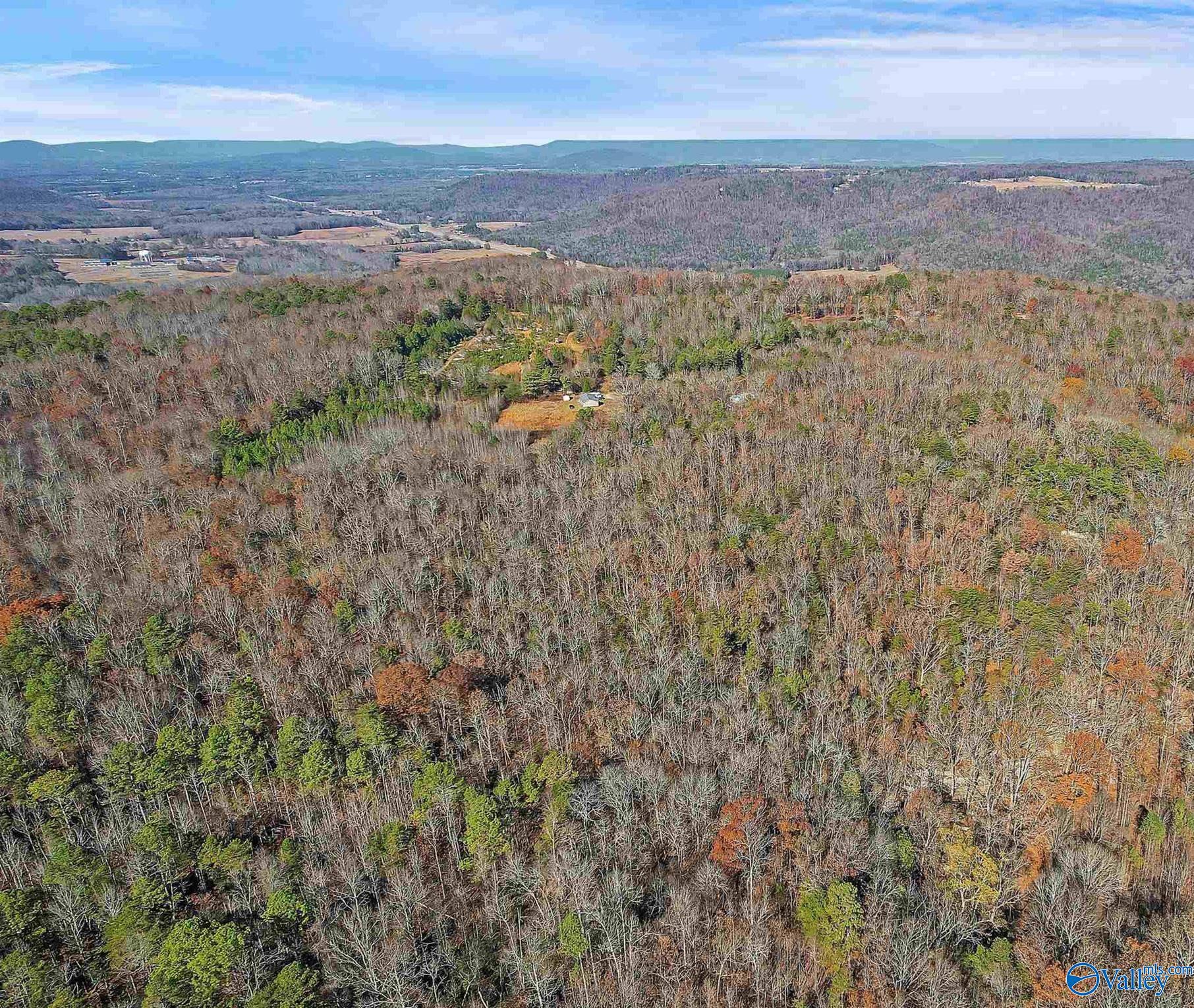 24 Acres Wright Lane, Grant, Alabama image 2