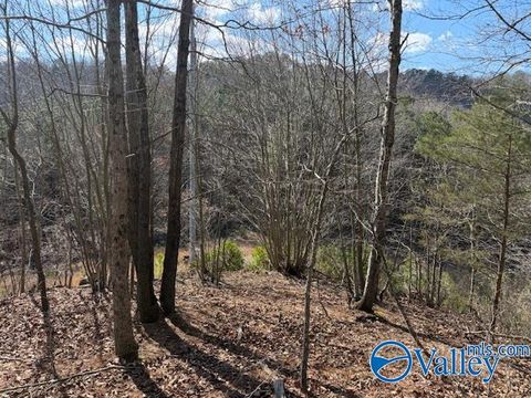 Vacant Land For Sale - #80 Snow Point Road<br/> Guntersville, AL 35976