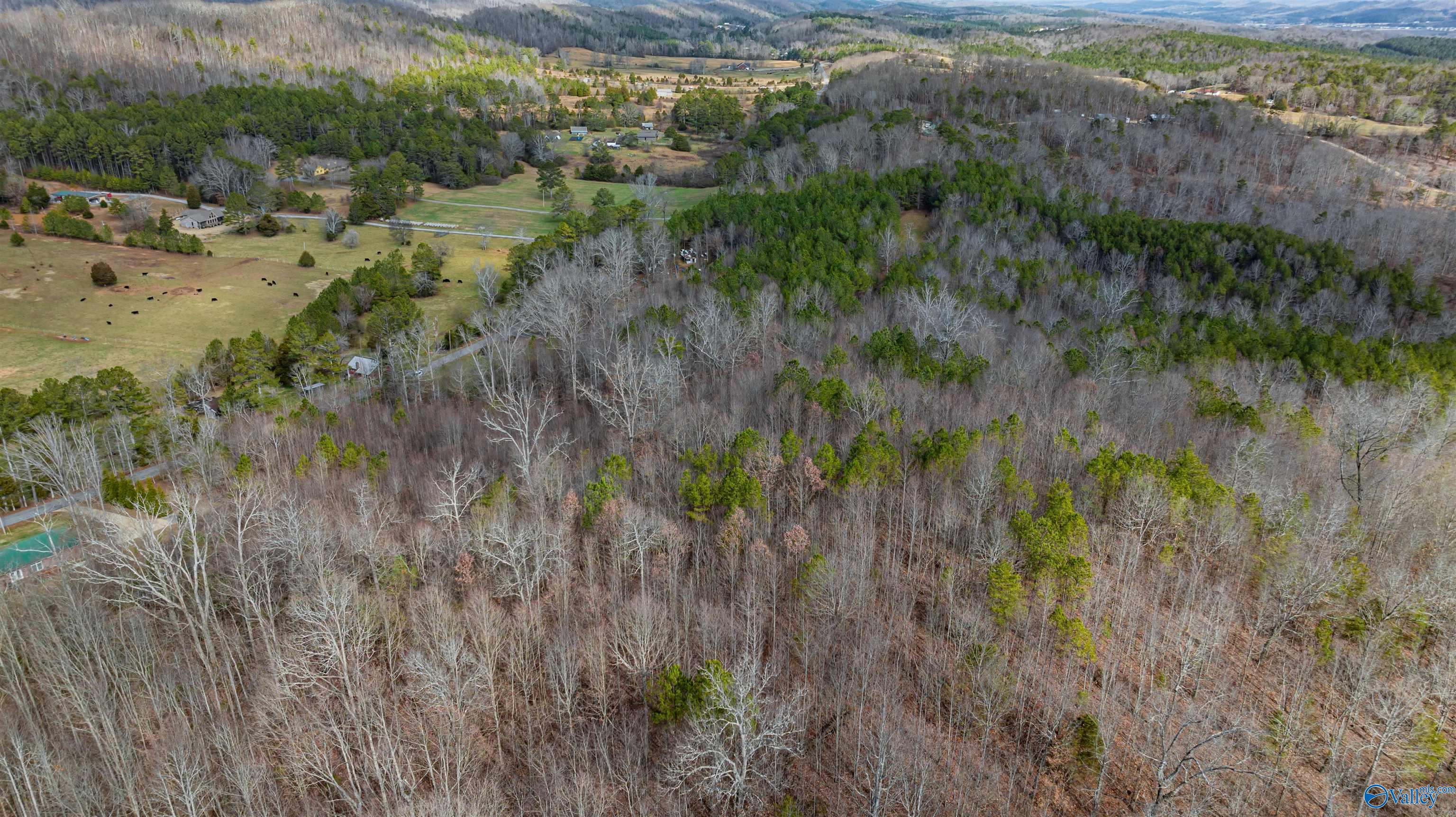 24.9 Acres Dugout Valley Road, Fort Payne, Alabama image 5