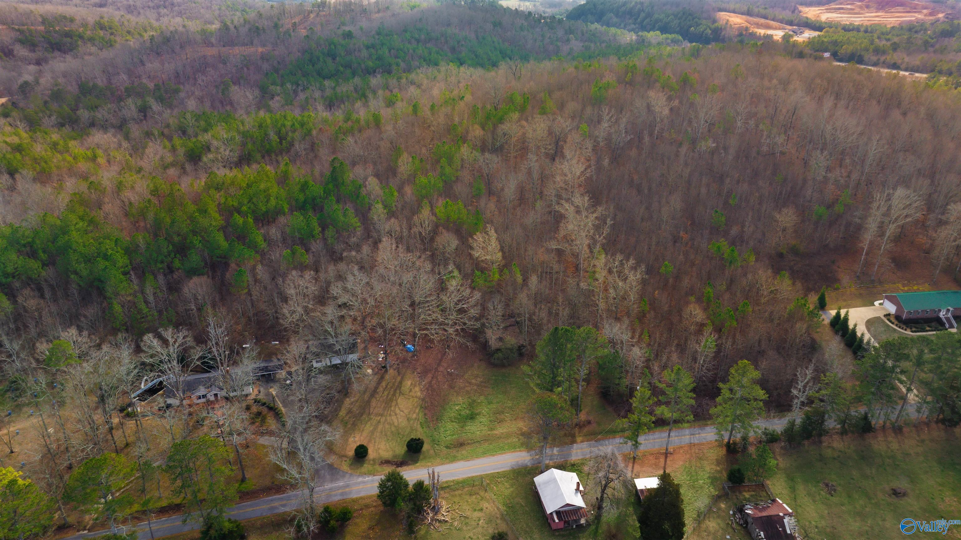 24.9 Acres Dugout Valley Road, Fort Payne, Alabama image 10