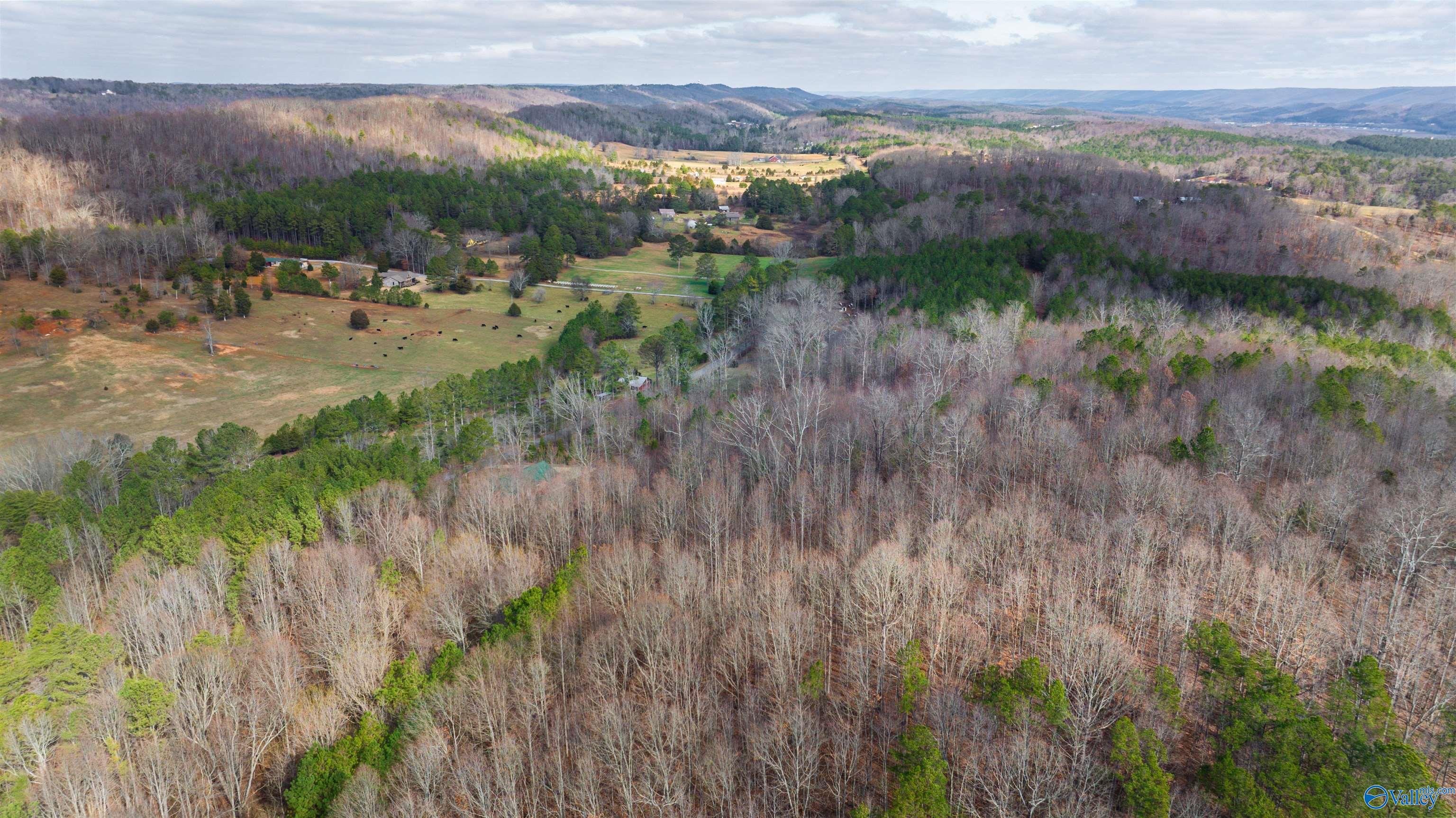 24.9 Acres Dugout Valley Road, Fort Payne, Alabama image 4