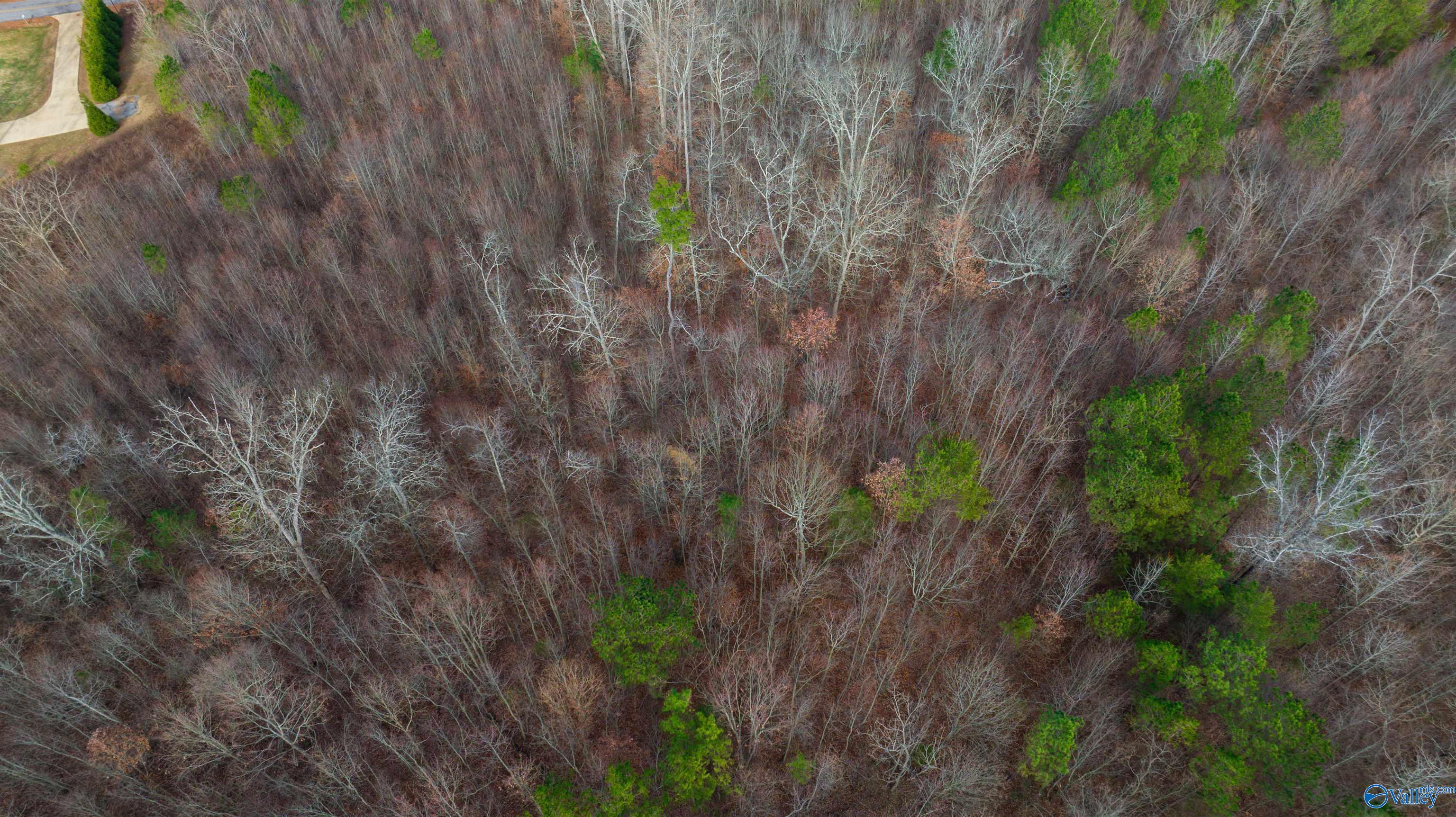 24.9 Acres Dugout Valley Road, Fort Payne, Alabama image 7