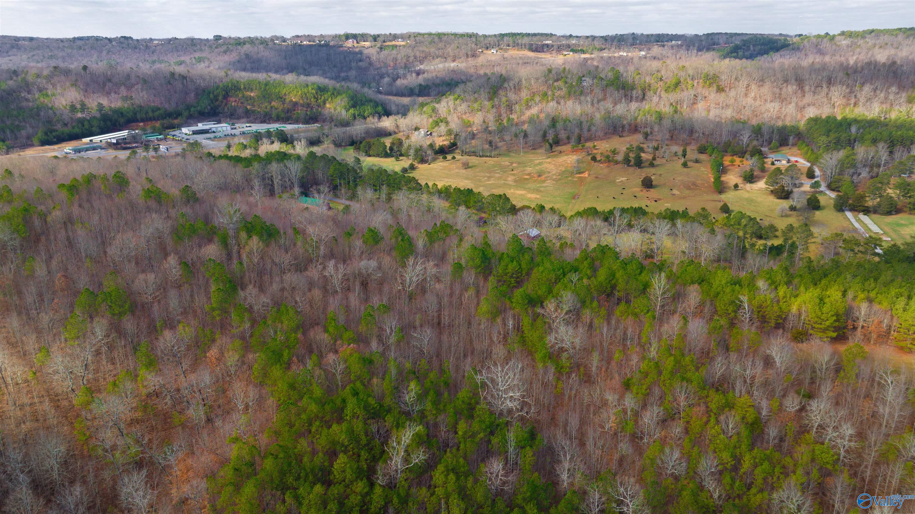 24.9 Acres Dugout Valley Road, Fort Payne, Alabama image 9