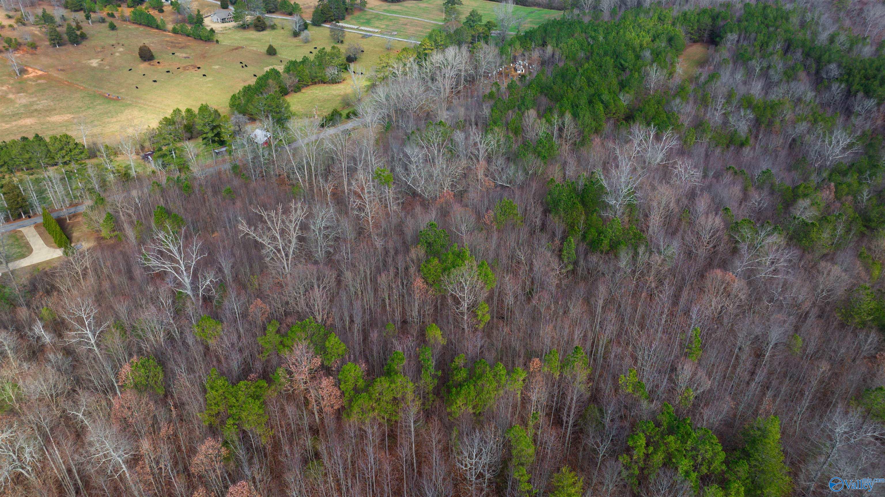 24.9 Acres Dugout Valley Road, Fort Payne, Alabama image 6