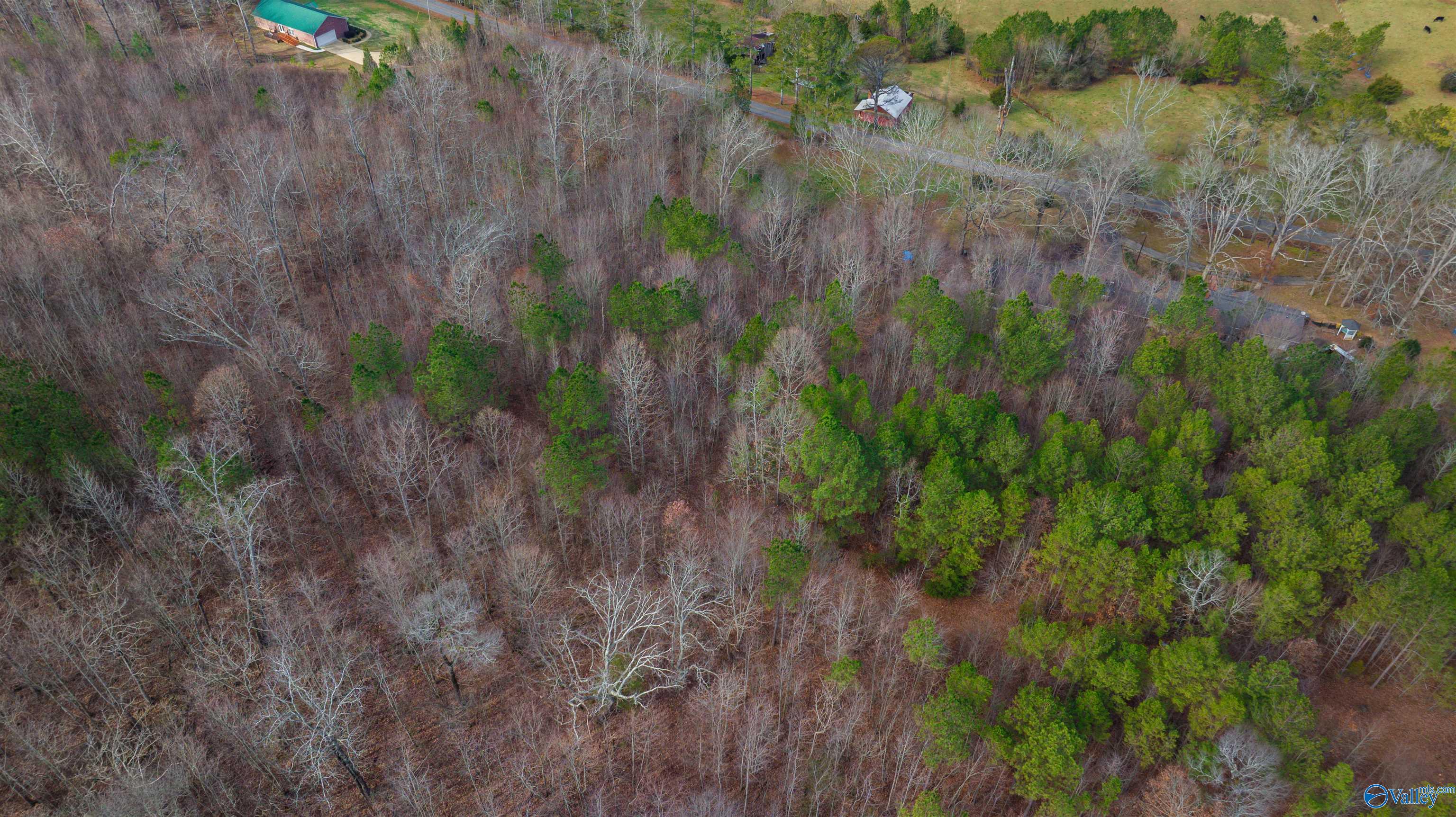 24.9 Acres Dugout Valley Road, Fort Payne, Alabama image 8