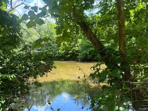 Vacant Land For Sale - LOT 34 County Road 336<br/> Cherokee County, Piedmont, AL 36272