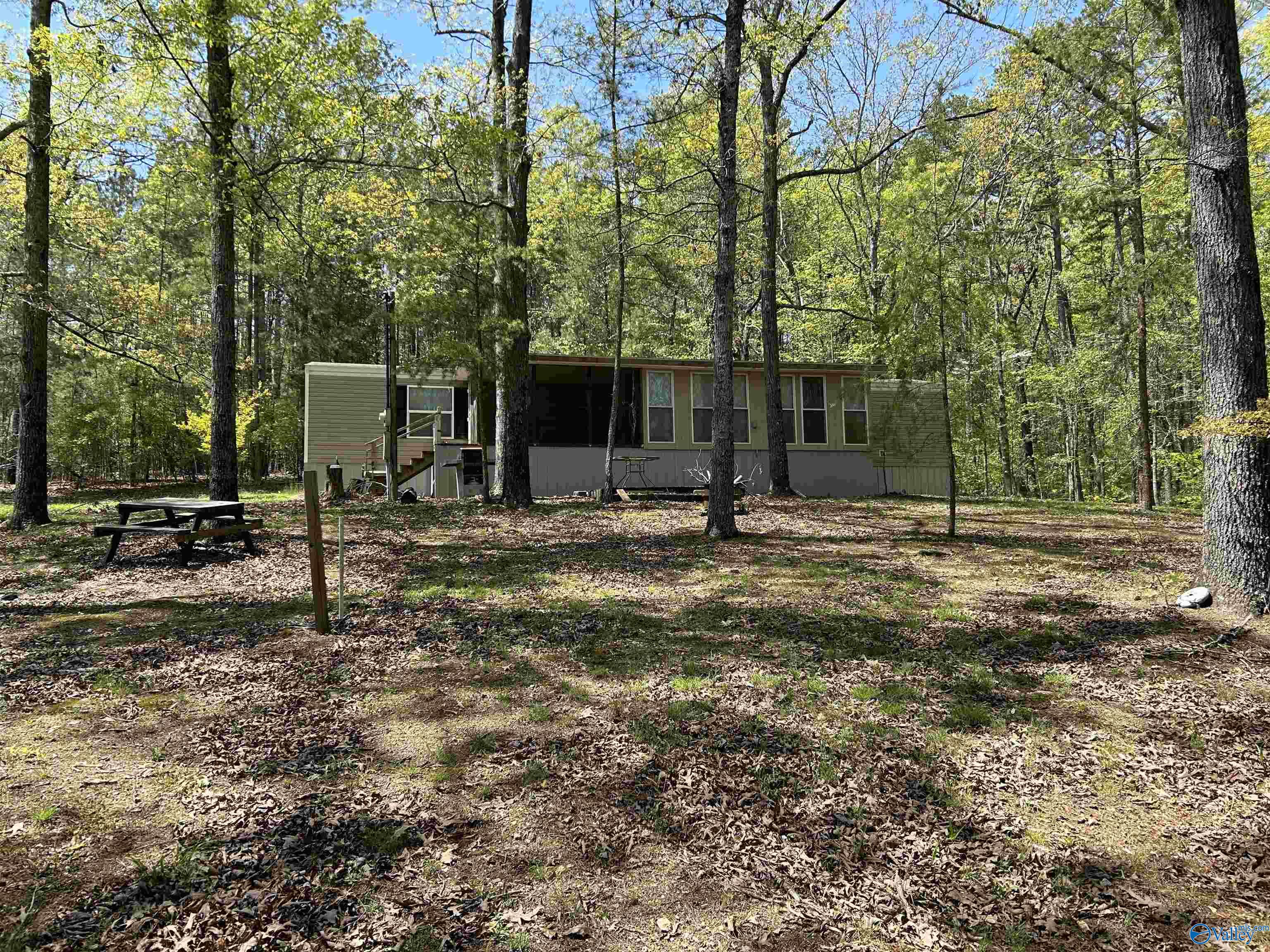 1045 County Road 732, Cedar Bluff, Alabama image 2