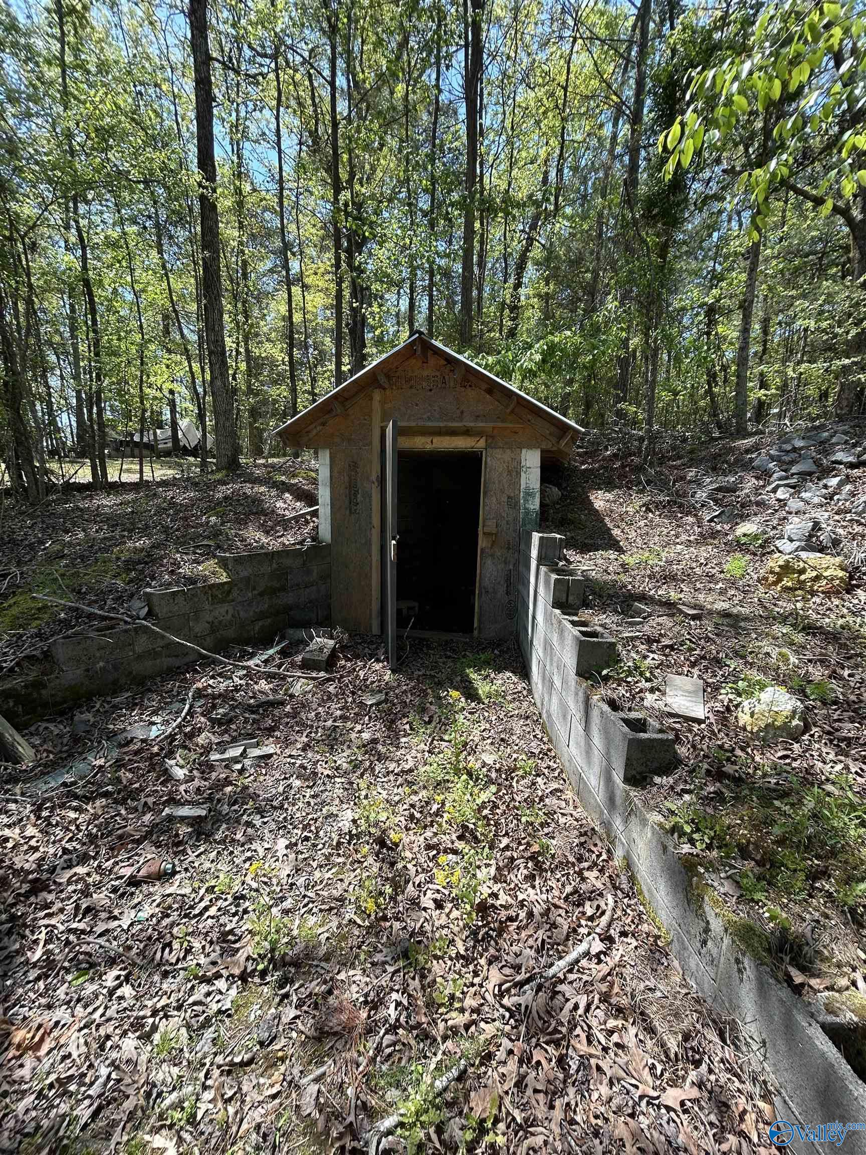 1045 County Road 732, Cedar Bluff, Alabama image 5