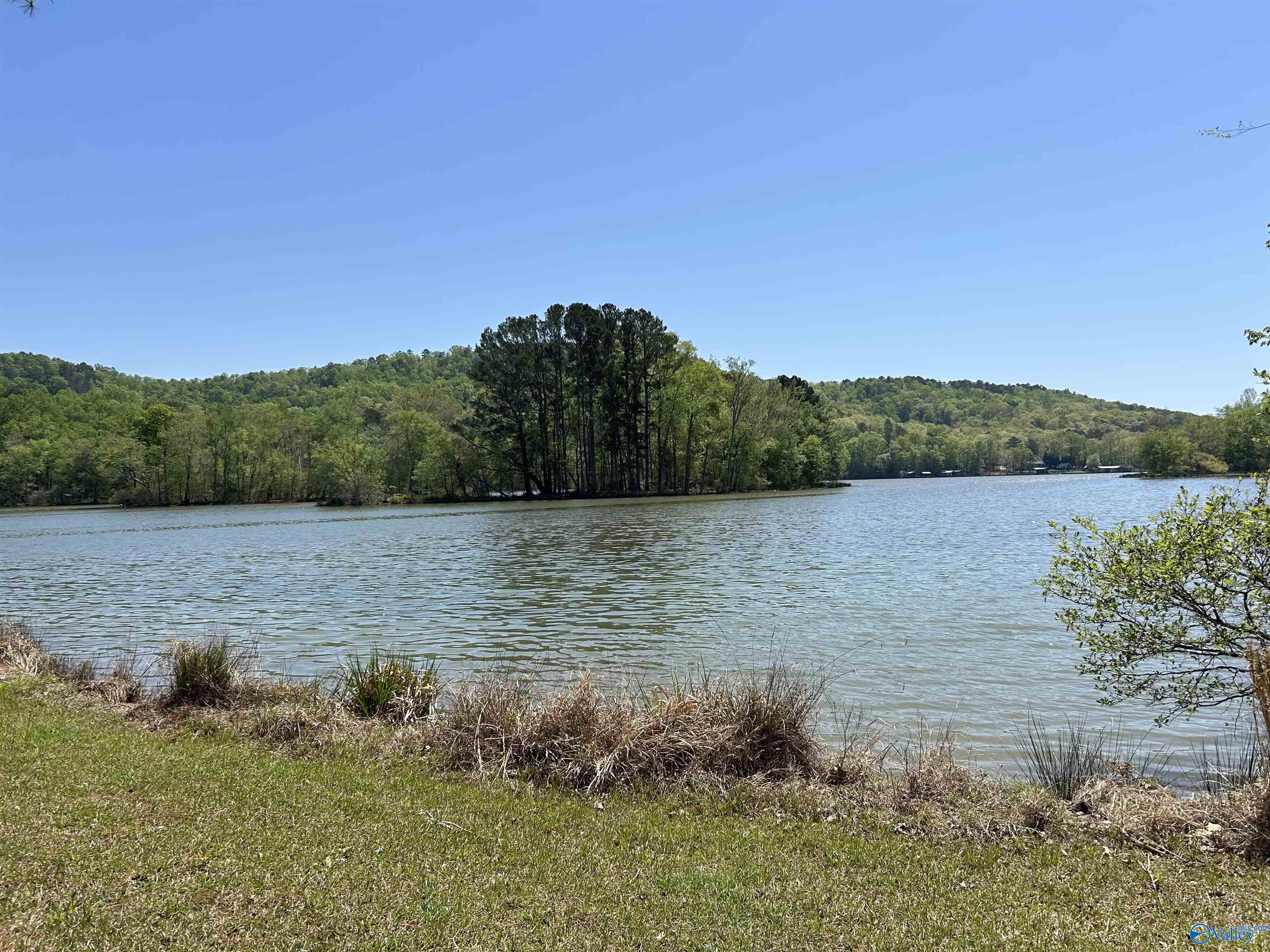 1045 County Road 732, Cedar Bluff, Alabama image 17