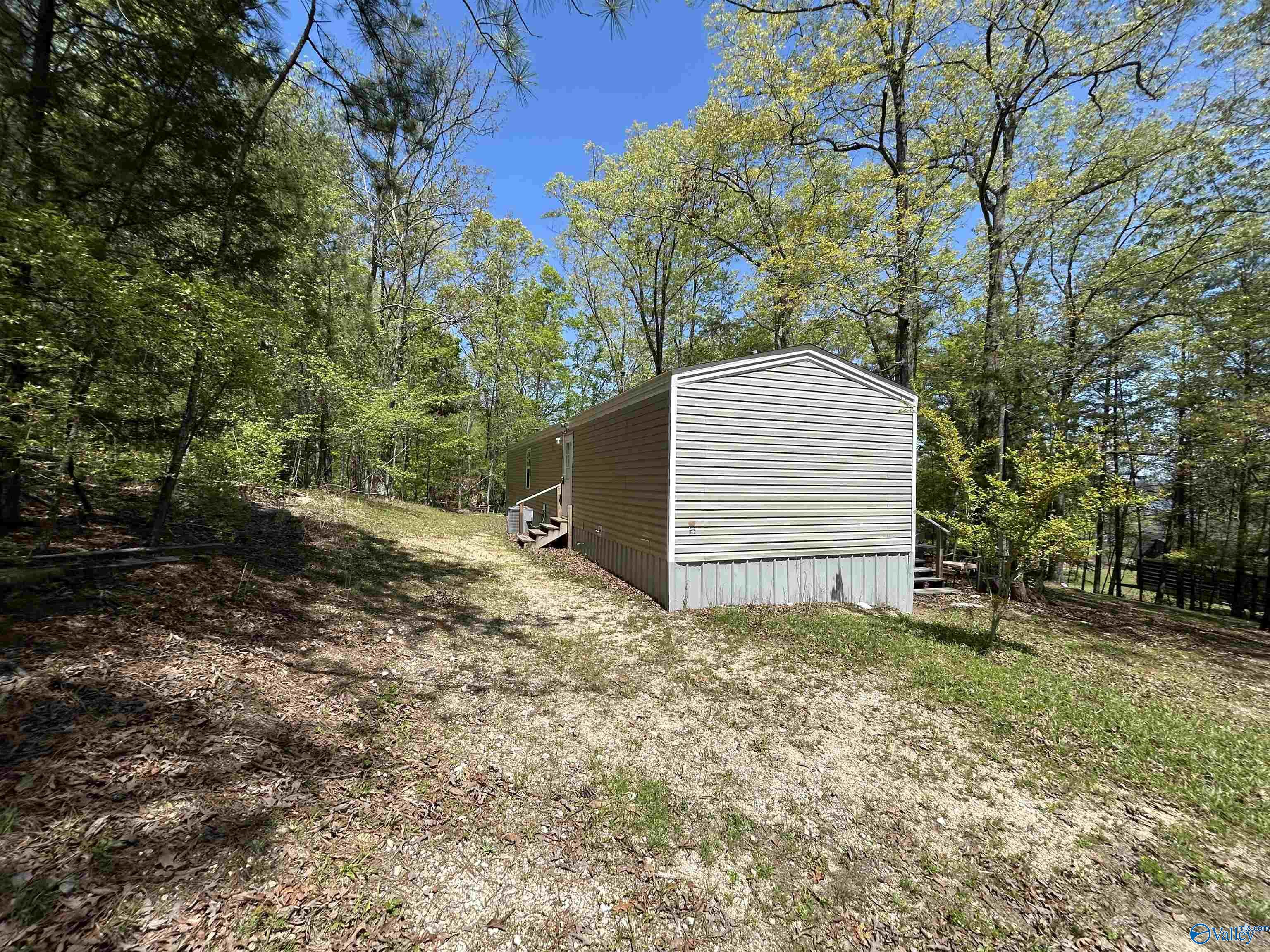 1045 County Road 732, Cedar Bluff, Alabama image 3