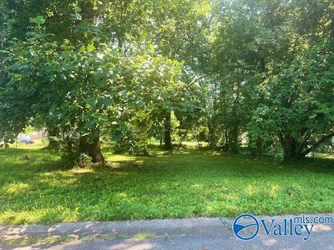 Vacant Land For Sale - 707 Lafayette Street<br/> Decatur, AL 35601