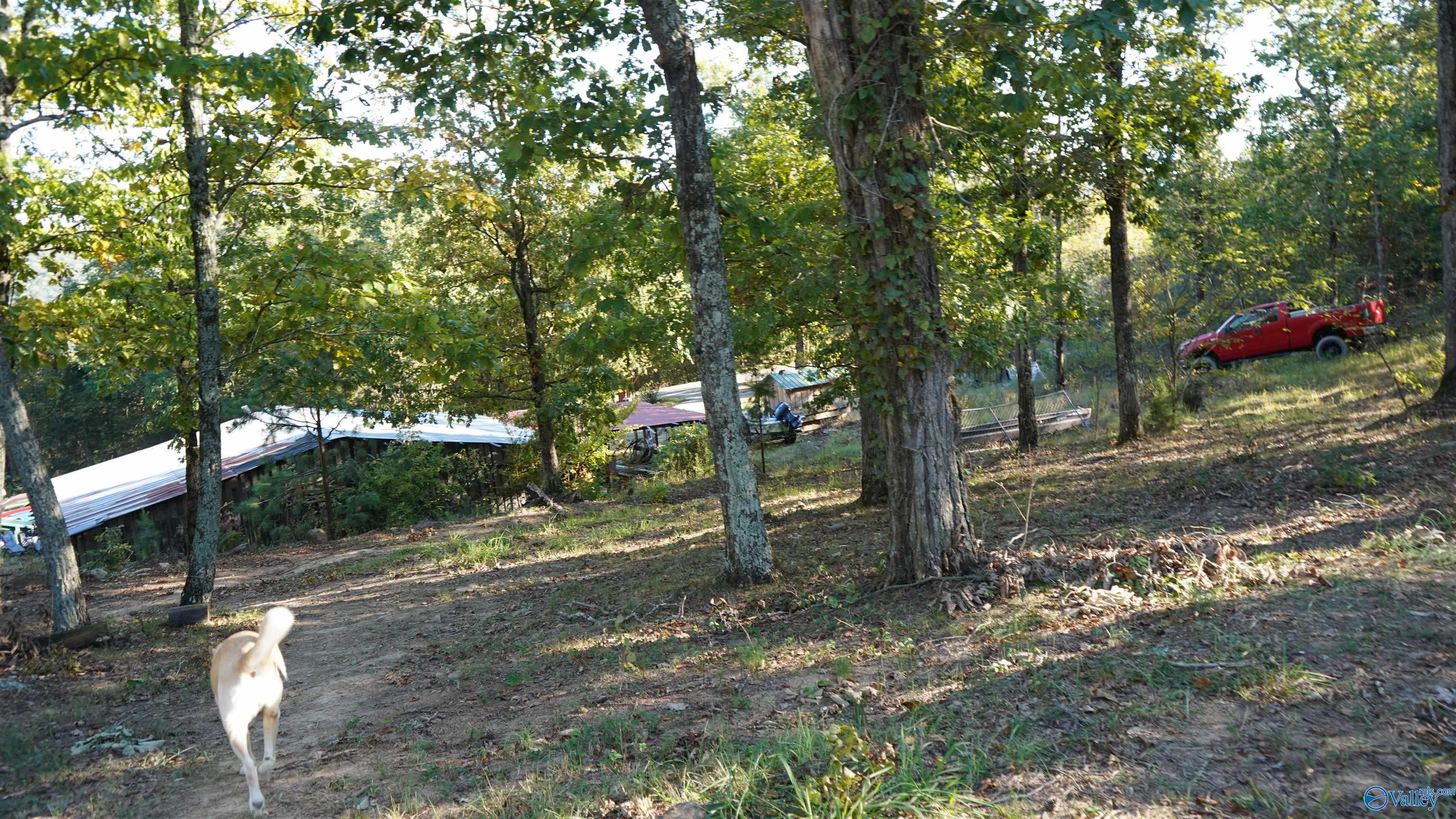 611 Blowing Cave Road, Gurley, Alabama image 8