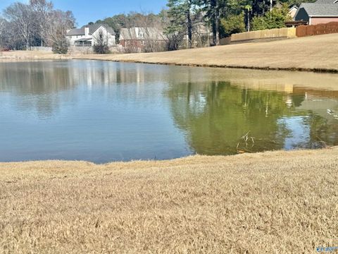 15016 Leafmore Drive Huntsville AL 35803