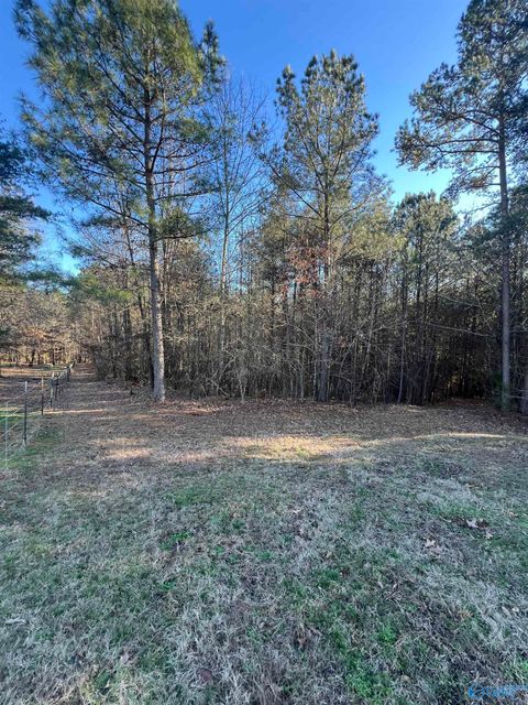 Vacant Land For Sale - 9AC South Sauty Road<br/> Langston, AL 35755