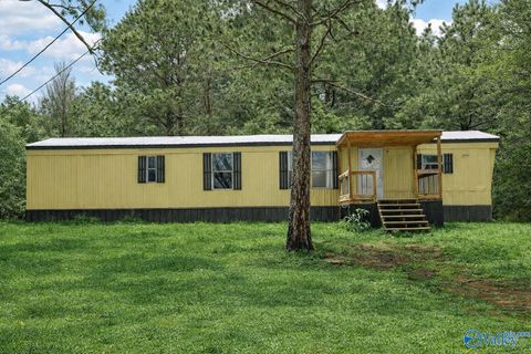 Mobile Home For Sale - 166 Blue Bend Road<br/> Albertville, AL 35951