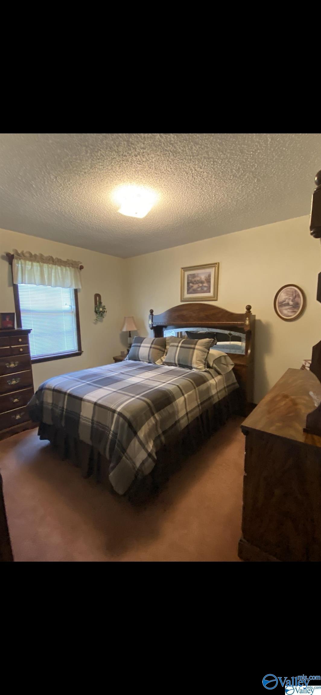 410 Lester Drive, Boaz, Alabama image 22