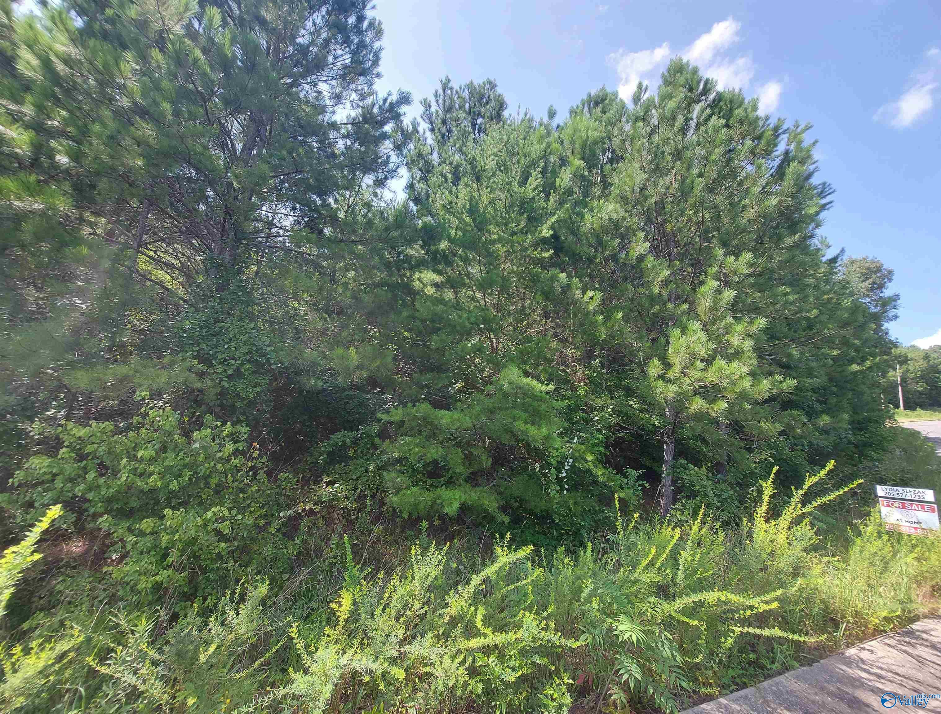 Lot 3 Cleveland Farms Parkway, Odenville, Alabama image 4