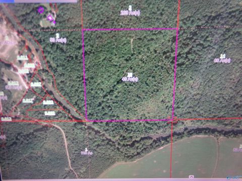Vacant Land For Sale - PIN # 29635 County Road 14<br/> Centre, AL 35960