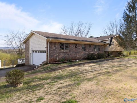 Photo of 1166 County Road 36, Hollywood, AL 35752 (MLS # 21911787)