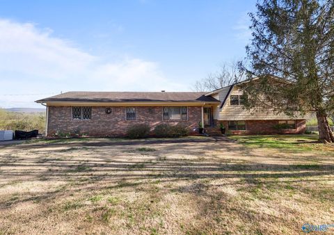 Photo of 1166 County Road 36, Hollywood, AL 35752 (MLS # 21911787)