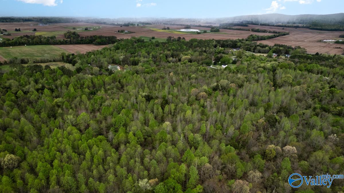 77 Acres Carters Gin Road, Toney, Alabama image 8