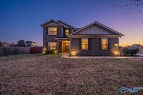 Photo of 376 Charley Patterson Road, New Market, AL 35761 (MLS # 21911329)