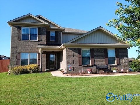 Homes For Sale - 376 Charley Patterson Road<br/> Madison County, New Market, AL 35761