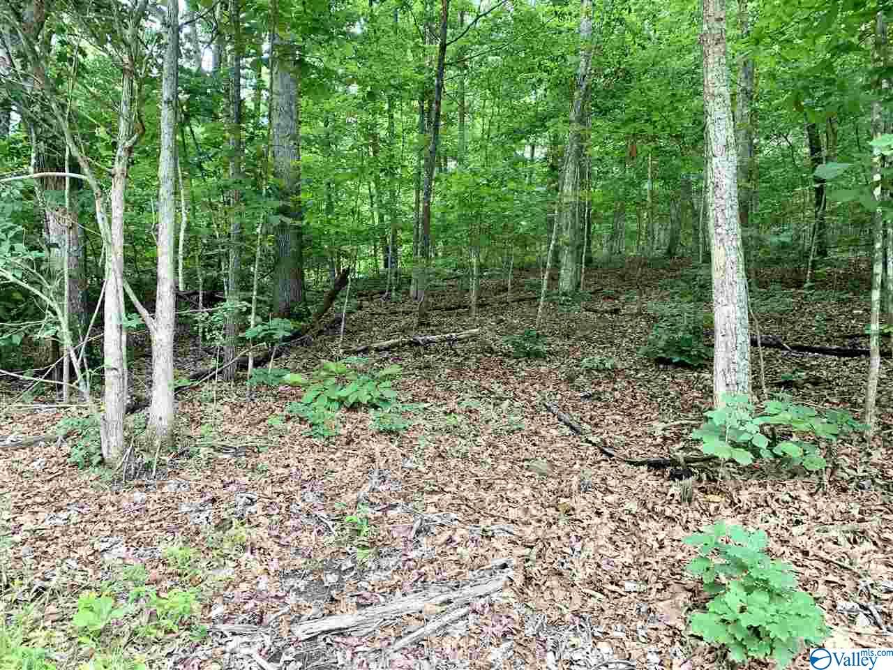 0.34 Acres Shady Lane, Fort Payne, Alabama image 4