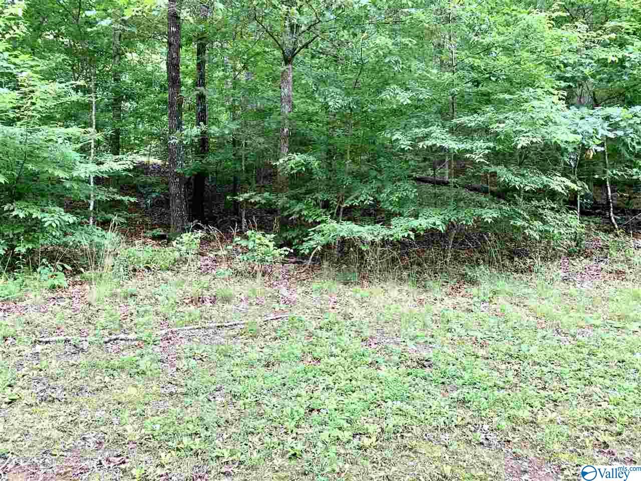 0.34 Acres Shady Lane, Fort Payne, Alabama image 1