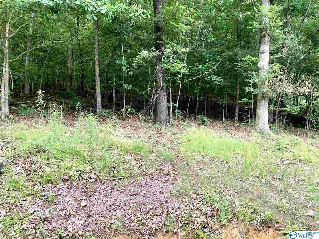 0.34 Acres Shady Lane, Fort Payne, Alabama image 6