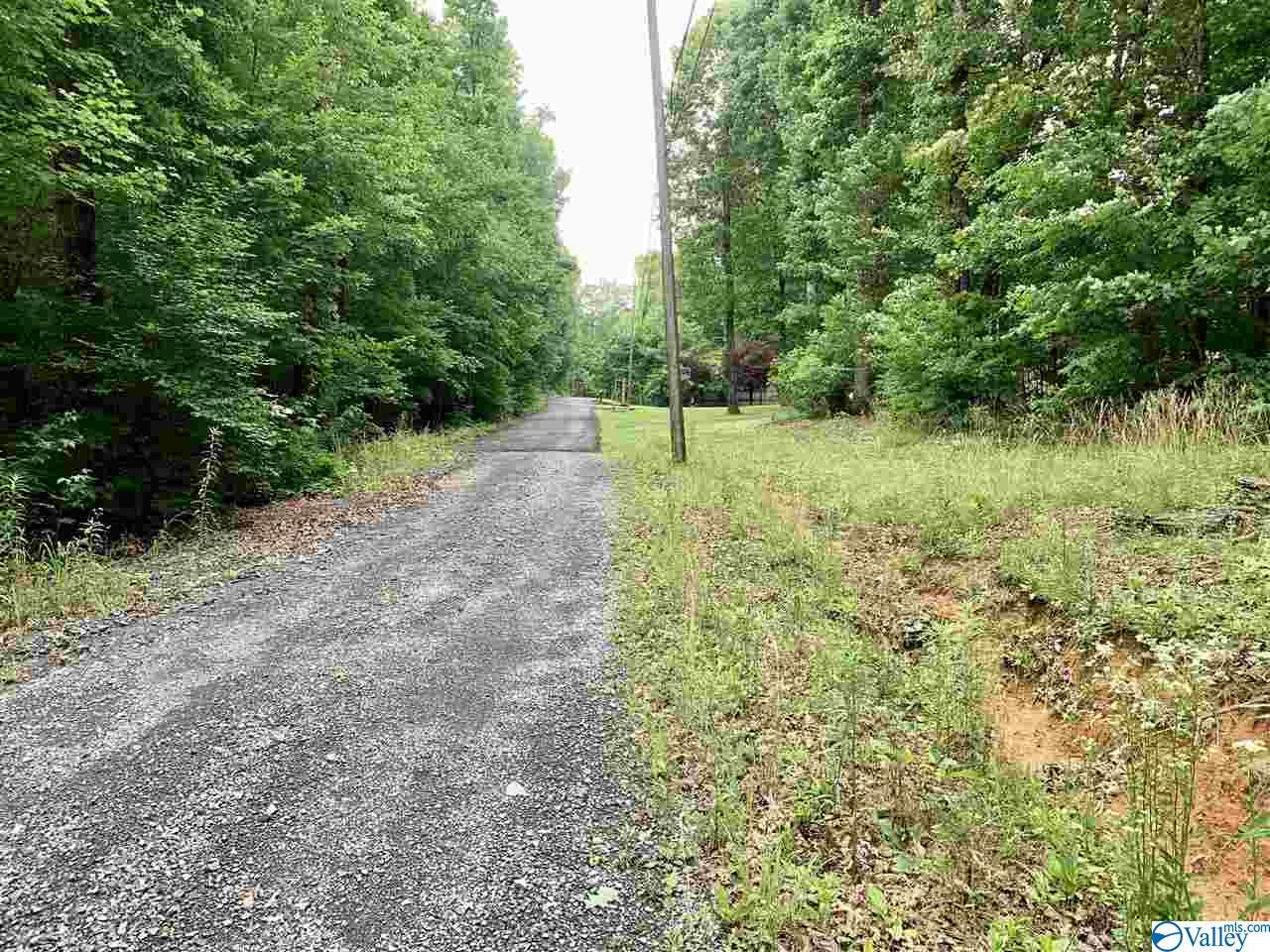 0.34 Acres Shady Lane, Fort Payne, Alabama image 5