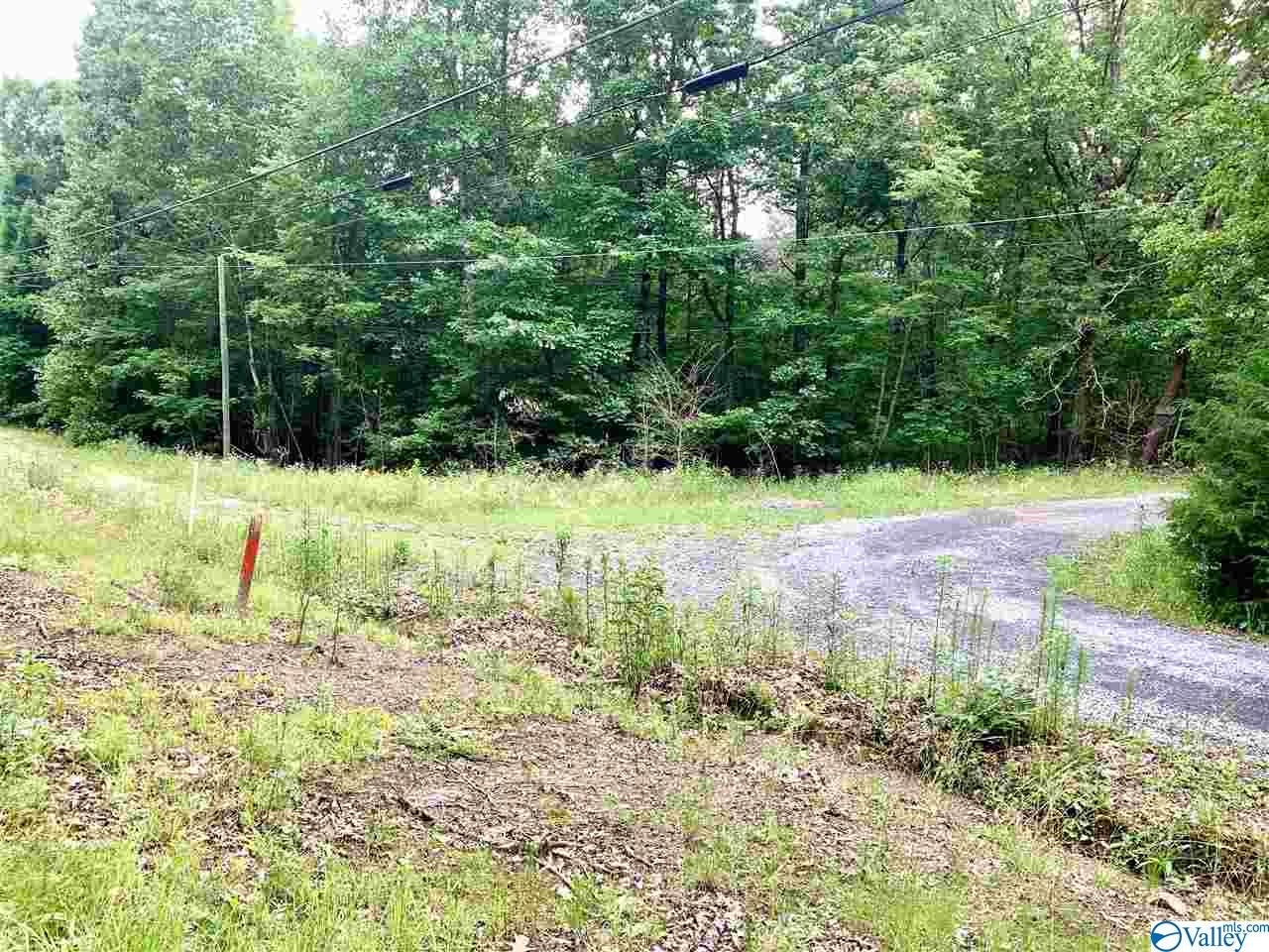 0.34 Acres Shady Lane, Fort Payne, Alabama image 2