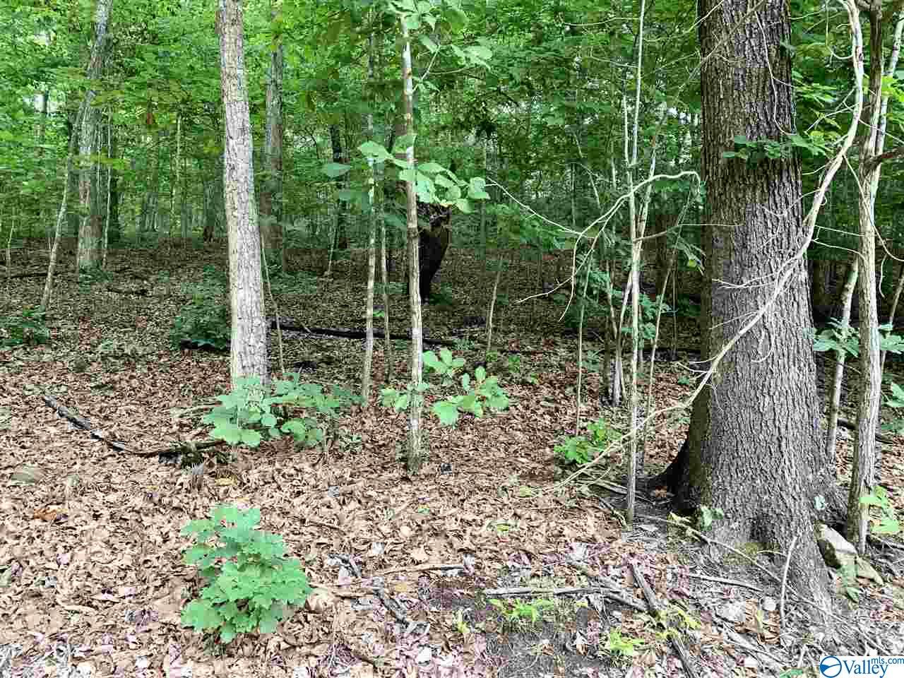 0.34 Acres Shady Lane, Fort Payne, Alabama image 3