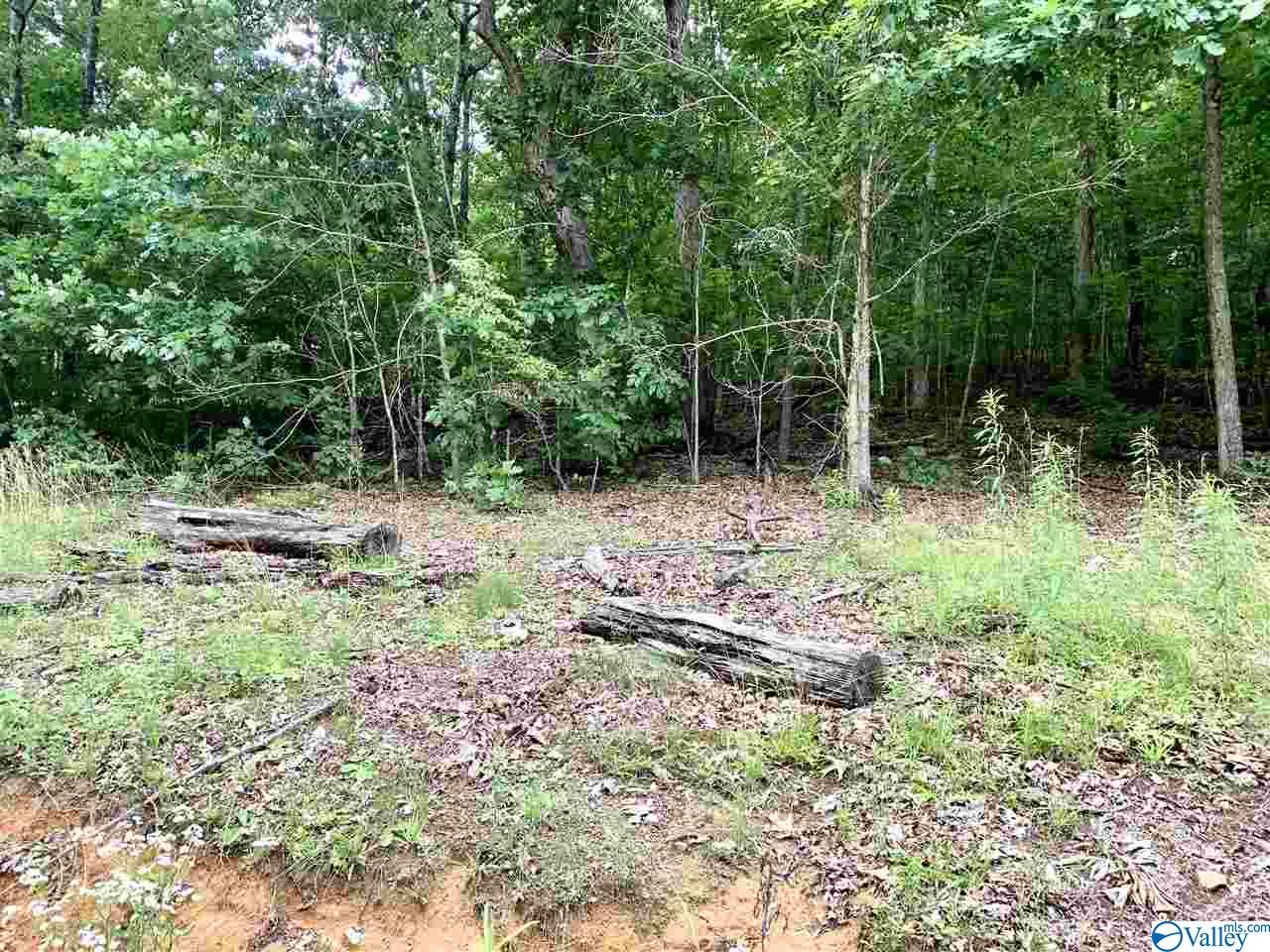 0.34 Acres Shady Lane, Fort Payne, Alabama image 7