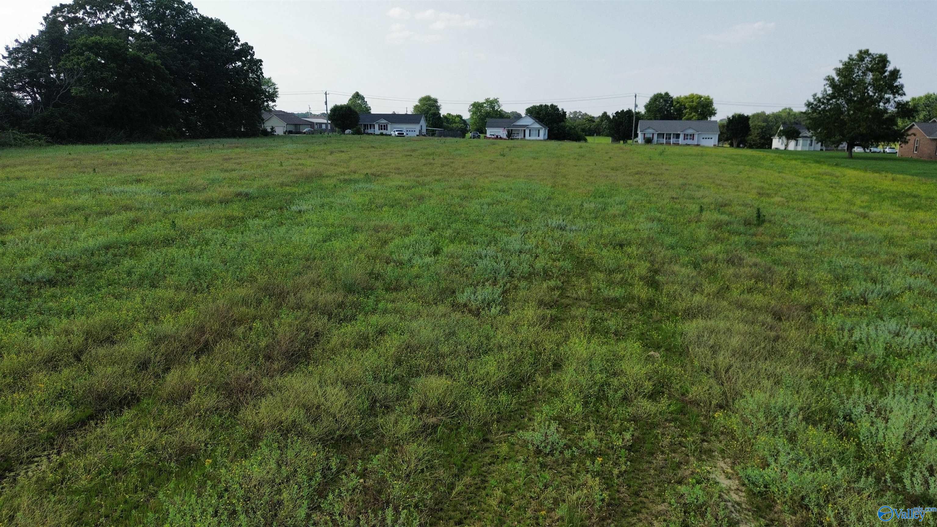 Tract 4 Bethel Road, Elkmont, Alabama image 9