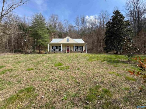 Photo of 2018 County Road 140, Estillfork, AL 35745 (MLS # 21911345)