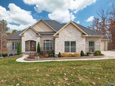 Photo of 21 Scenic Loop Road, Huntsville, AL 35803 (MLS # 21912224)