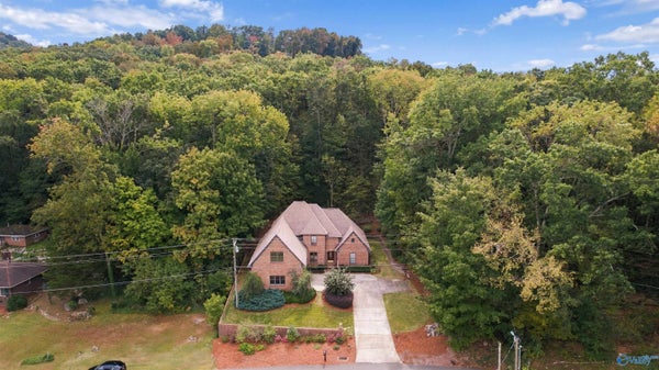 2017 WYETH DR, GUNTERSVILLE, AL 35976 - Image bc2353b8ed2480fef9b6b308baa64fb9/632221922