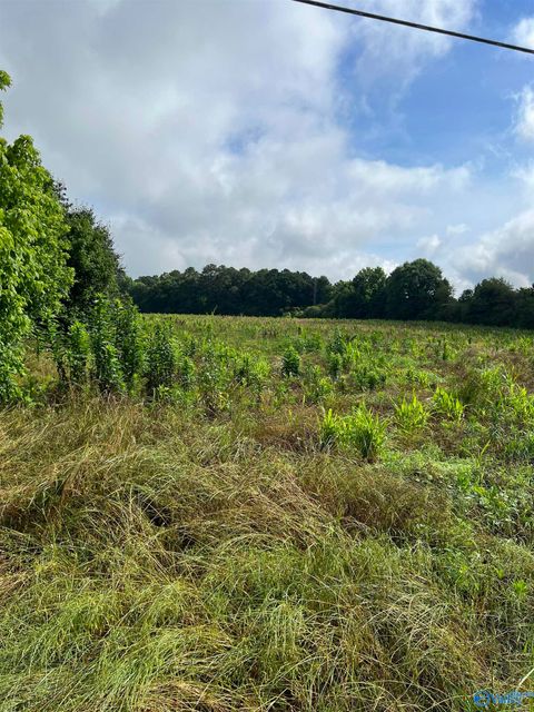 Vacant Land For Sale - 275 Highland Drive<br/> Arab, AL 35016