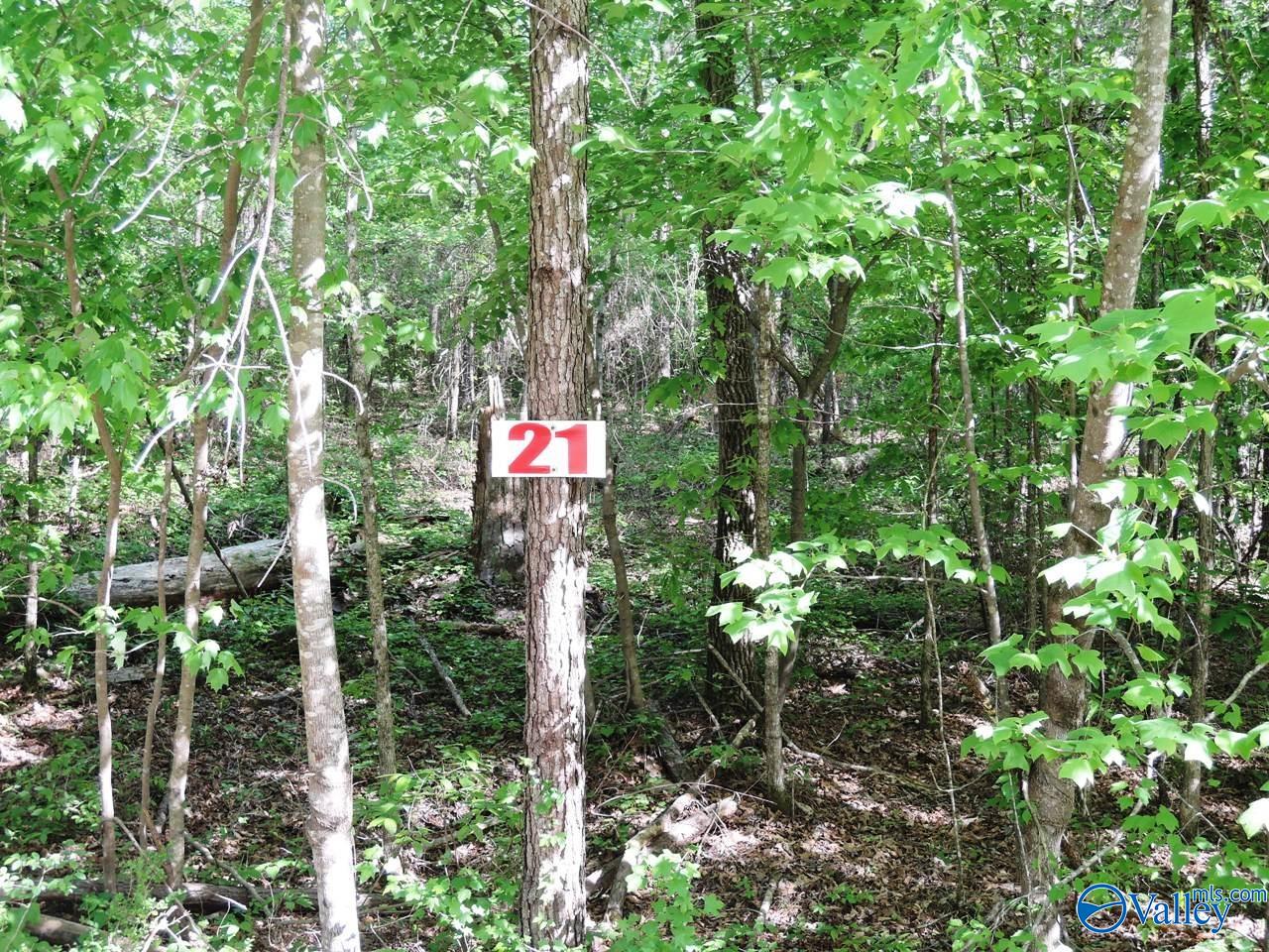 Lot 21 Harbor Loop, Jasper, Alabama image 1