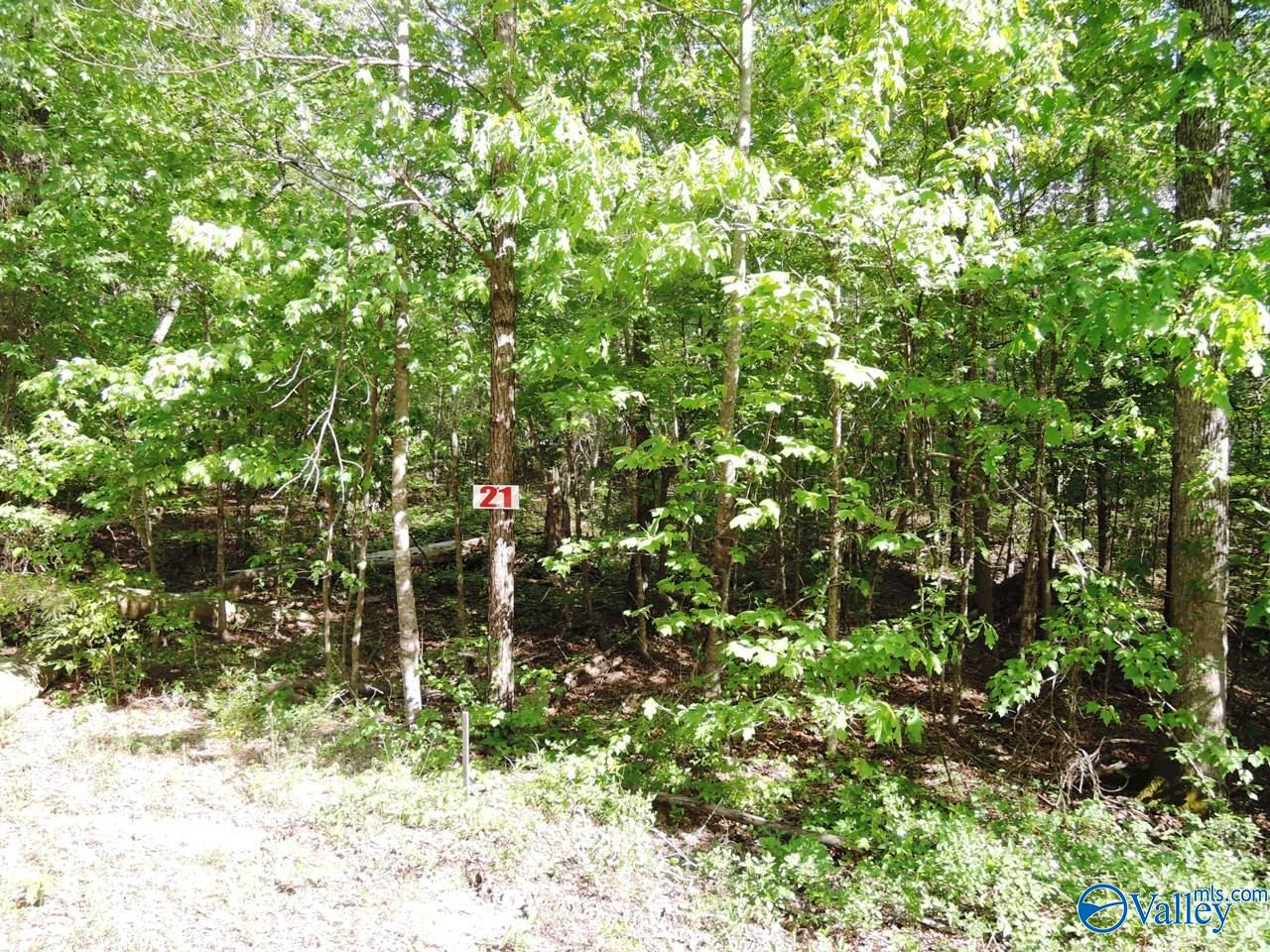 Lot 21 Harbor Loop, Jasper, Alabama image 2