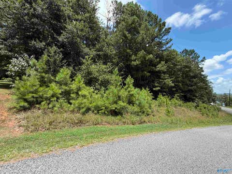 Vacant Land For Sale - LOT 5 County Road 592<br/> Leesburg, AL 35983