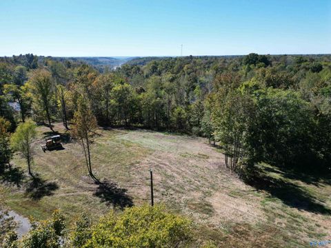 Tract2 Gunter Hollow Road Pulaski TN 38478